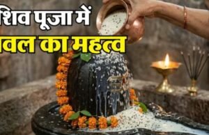 भगवान शिव को चावल अर्पित करने से क्यों बढ़ती है स्थिर लक्ष्मी?