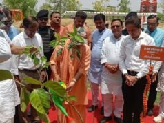 पर्यावरण दिवस आज: यूपी में एक पेड़ मां के नाम अभियान के तहत होंगे पांच करोड़ पौधरोपण
