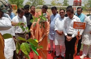 पर्यावरण दिवस आज: यूपी में एक पेड़ मां के नाम अभियान के तहत होंगे पांच करोड़ पौधरोपण
