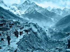 उत्तराखंड और हिमालयी राज्यों में भूकंप के झटके आने से पहले मिलेगा अलर्ट