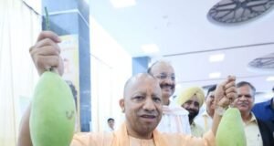 लखनऊ आम महोत्सव का शुभारंभ, आधा किलो का आम देख मुस्कुराए सीएम योगी
