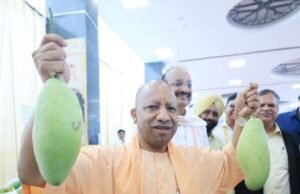 लखनऊ आम महोत्सव का शुभारंभ, आधा किलो का आम देख मुस्कुराए सीएम योगी