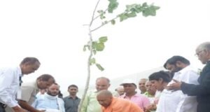 पौधरोपण महायज्ञ: यूपी में आज रोपे जाएंगे 35 करोड़ पौधे, ऑनलाइन दिखेगा अभियान