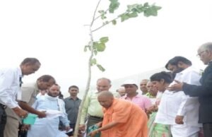 पौधरोपण महायज्ञ: यूपी में आज रोपे जाएंगे 35 करोड़ पौधे, ऑनलाइन दिखेगा अभियान