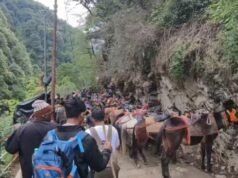 केदारनाथ पैदल यात्रा सुचारू, संवेदनशील स्थानों पर तैनात हैं टीमें, घोड़ा-खच्चर संचालन अब भी बंद
