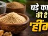 चुटकी भर ‘हींग’ के ये जादुई फायदे आपको कर देंगे हैरान