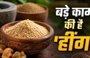 चुटकी भर ‘हींग’ के ये जादुई फायदे आपको कर देंगे हैरान