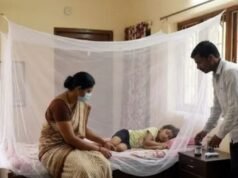 अब केवल मानसून की बीमारी नहीं रहा डेंगू! मामूली वायरल बुखार समझकर न करें इग्नोर