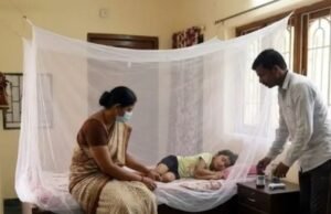 अब केवल मानसून की बीमारी नहीं रहा डेंगू! मामूली वायरल बुखार समझकर न करें इग्नोर