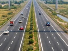 उत्तराखंड: एक्सप्रेसवे पर मिट्टी की कटान रोकेगा बांस