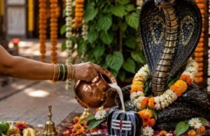 नाग पंचमी पर खरीदें ये पवित्र चीजें, घर में हमेशा बनी रहेगी सुख-शांति और समृद्धि