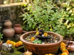 तुलसी के गमले में शिवलिंग रखना सही या गलत? शिव पुराण में लिखा है इसका उत्तर