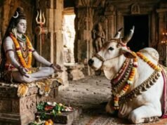 शिव जी के ठीक सामने ही क्यों विराजमान रहते हैं नंदी महाराज?