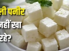 पनीर समझकर कहीं ‘एनालॉग’ तो नहीं खा रहे? जानिए क्या है ये चीज