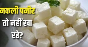 पनीर समझकर कहीं ‘एनालॉग’ तो नहीं खा रहे? जानिए क्या है ये चीज