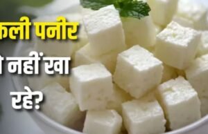 पनीर समझकर कहीं ‘एनालॉग’ तो नहीं खा रहे? जानिए क्या है ये चीज
