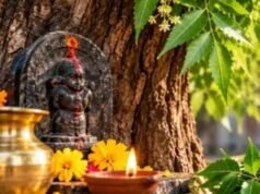 घर के पास है नीम का पेड़? पितृ दोष और शनि की महादशा से राहत के लिए तुरंत करें यह काम