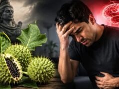 भोलेनाथ को चढ़ने वाला धतूरा क्यों है शरीर के लिए जानलेवा?