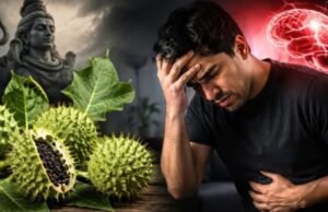 भोलेनाथ को चढ़ने वाला धतूरा क्यों है शरीर के लिए जानलेवा?