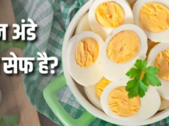 रोज अंडा खाने से बालों से लेकर दिमाग तक, शरीर में होंगे ये शानदार बदलाव