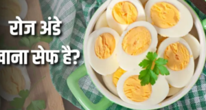 रोज अंडा खाने से बालों से लेकर दिमाग तक, शरीर में होंगे ये शानदार बदलाव
