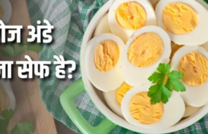 रोज अंडा खाने से बालों से लेकर दिमाग तक, शरीर में होंगे ये शानदार बदलाव