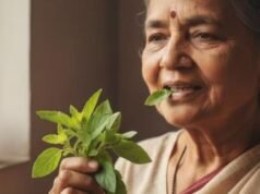 तुलसी को दांतों से चबाना क्यों माना जाता है महापाप?