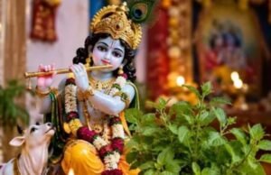 जन्माष्टमी पर तुलसी के बिना अधूरी क्यों है श्रीकृष्ण की पूजा?