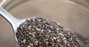 हर किसी के लिए फायदेमंद नहीं हैं चिया सीड्स