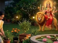 शारदीय नवरात्र 2026: विजयादशमी से पहले घर में लगाएं इनमें से एक भी पौधा