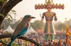 दशहरे पर ‘नीलकंठ’ पक्षी का दिखना क्यों माना जाता है शुभ?