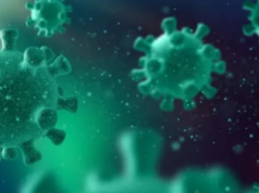 फ्रांस में मिला ‘Shamonda Virus’ का पहला इंसानी मामला